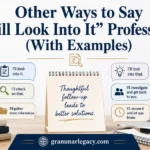 Other Ways to Say “I Will Look Into It” Professionally (With Examples)